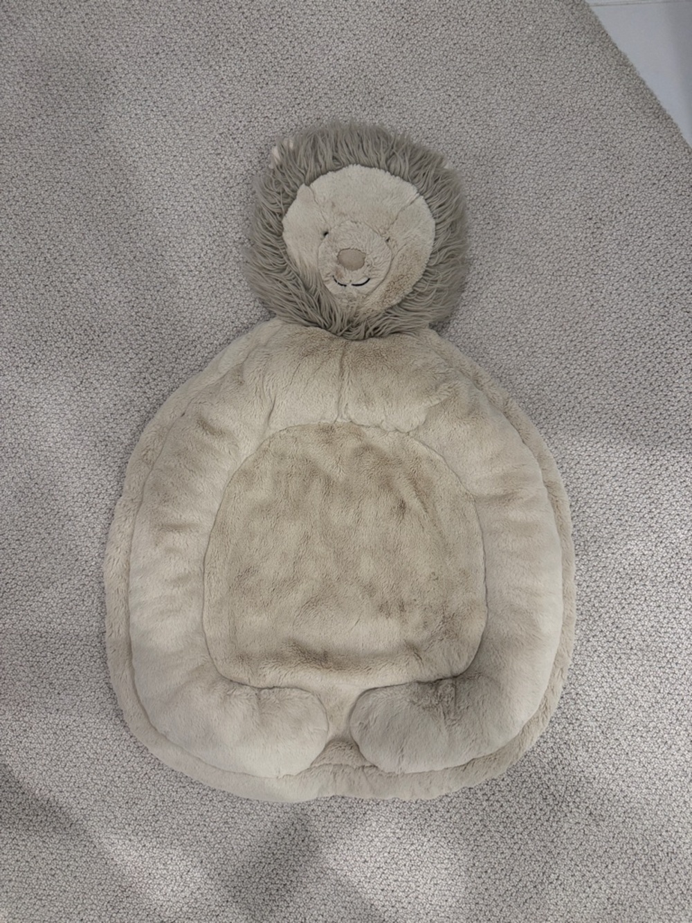 Pottery Barn Kids PBK - Plush Lion Floor Pillow